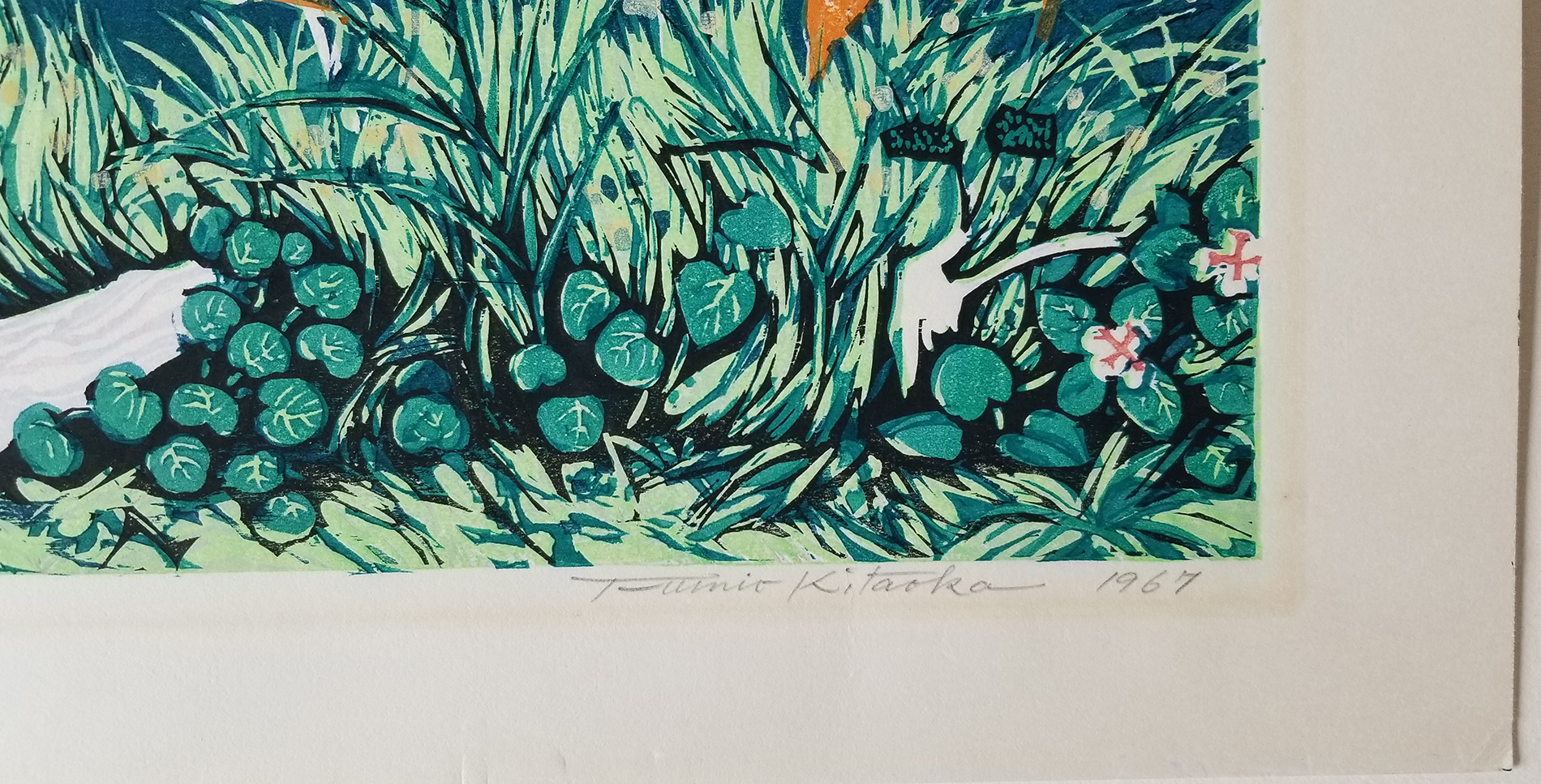 Verso